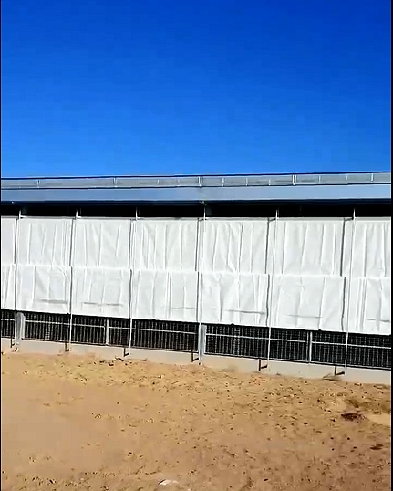 芒果视频成年app安卓版下载卷帘 芒果视频成年app安卓版下载卷帘
