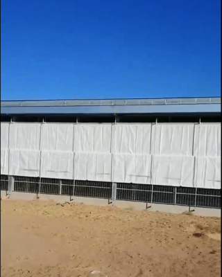 芒果视频成年app安卓版下载卷帘