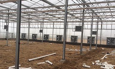 大棚风机芒果视频成年app黄